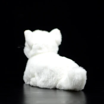 21 cm-Super Armas Puhas Valge Kass Palus Mänguasi Pehme Simulatsiooni Täistopitud Nukk Armas Kassipoeg Vale Reaalne Elu Loomade Baby Tüdrukud Kingitus