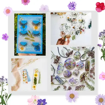 2TK Segatud Kuivatatud Lilled Epoksü Vaik,mis on Päris Pressitud Daisy Lill, Kuivad Taimed, Epoksü Käsitöö-Dekoratsioon Ehteid Teha DIY Käsitöö