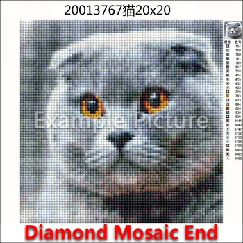 DIY Diamond maali Loomade konn Täis Square Diamond tikandid ristpistes öökull koer kandma Täielikku Ring Diamond mosaiik panda ahv