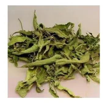 Melissa Tee, meliss Herb – Kõrgeima Kvaliteediga – Melissa taimetee 100g TASUTA SHIPPING