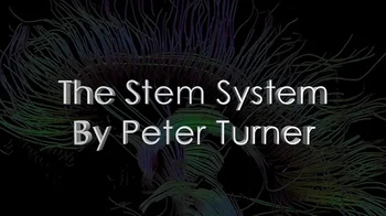 S. t.e.m. Süsteemi Peter Turner 1-2 - Magic Trikke