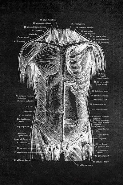 Kaasaegse Inimese Anatoomia Kunsti, Meditsiini-Seina Art Pilt Lihas-Skelett Haridus Plakat Lõuendile Maali Office Home Decor