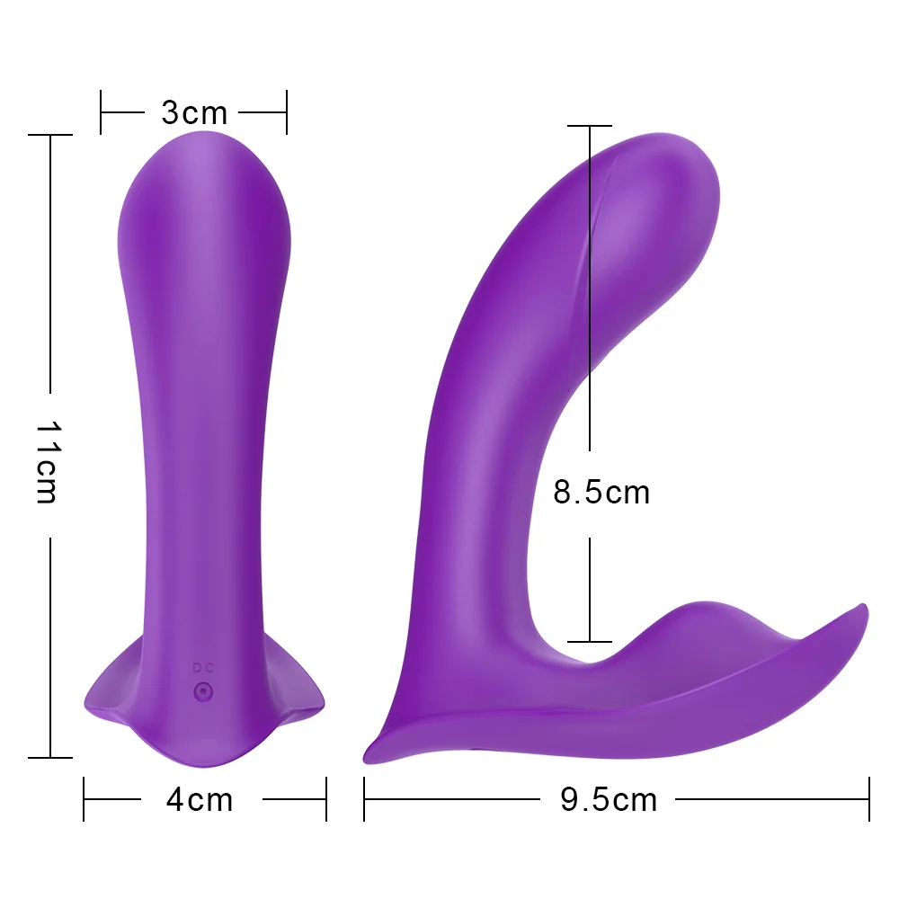 Kantavad Dildo Vibraator Sex Mänguasja Naiste 10 Kiirus Aluspüksid Vibraator Naine Masturbator Clit Stimuleerida Kaugjuhtimispult