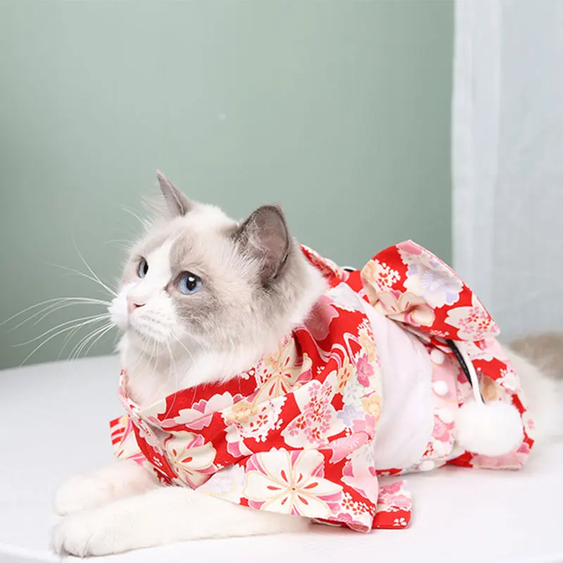 Kass Jaapani Kimono Pet Kostüüm